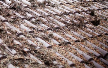 Barholm roof cleaning companies